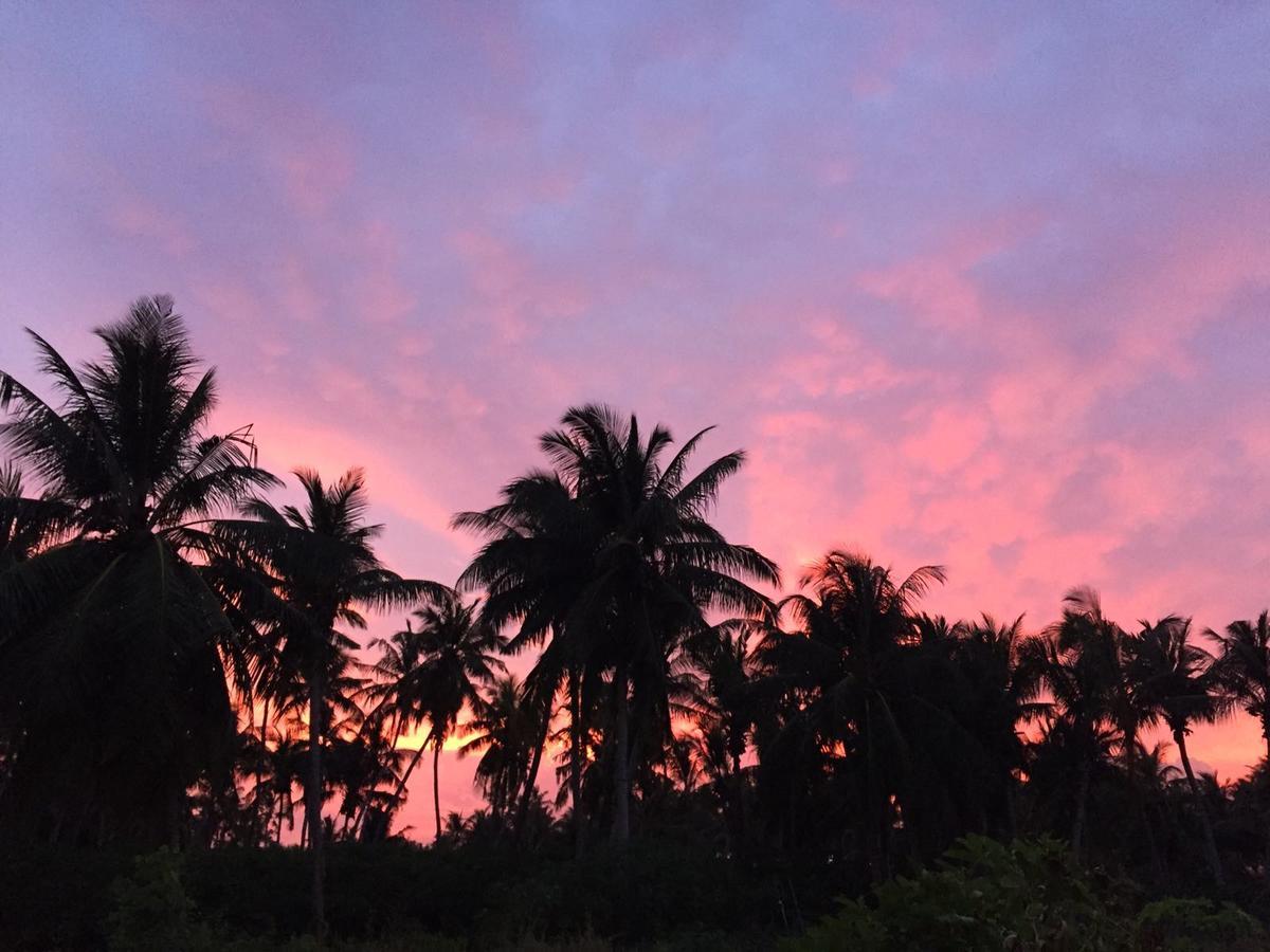 Alesara Guest House Thoddoo-Atoll Exterior foto