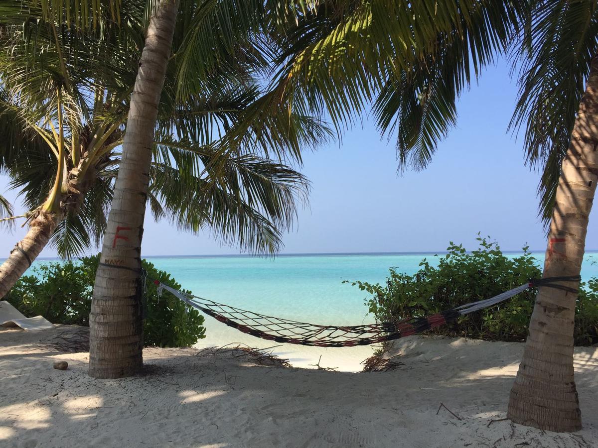 Alesara Guest House Thoddoo-Atoll Exterior foto