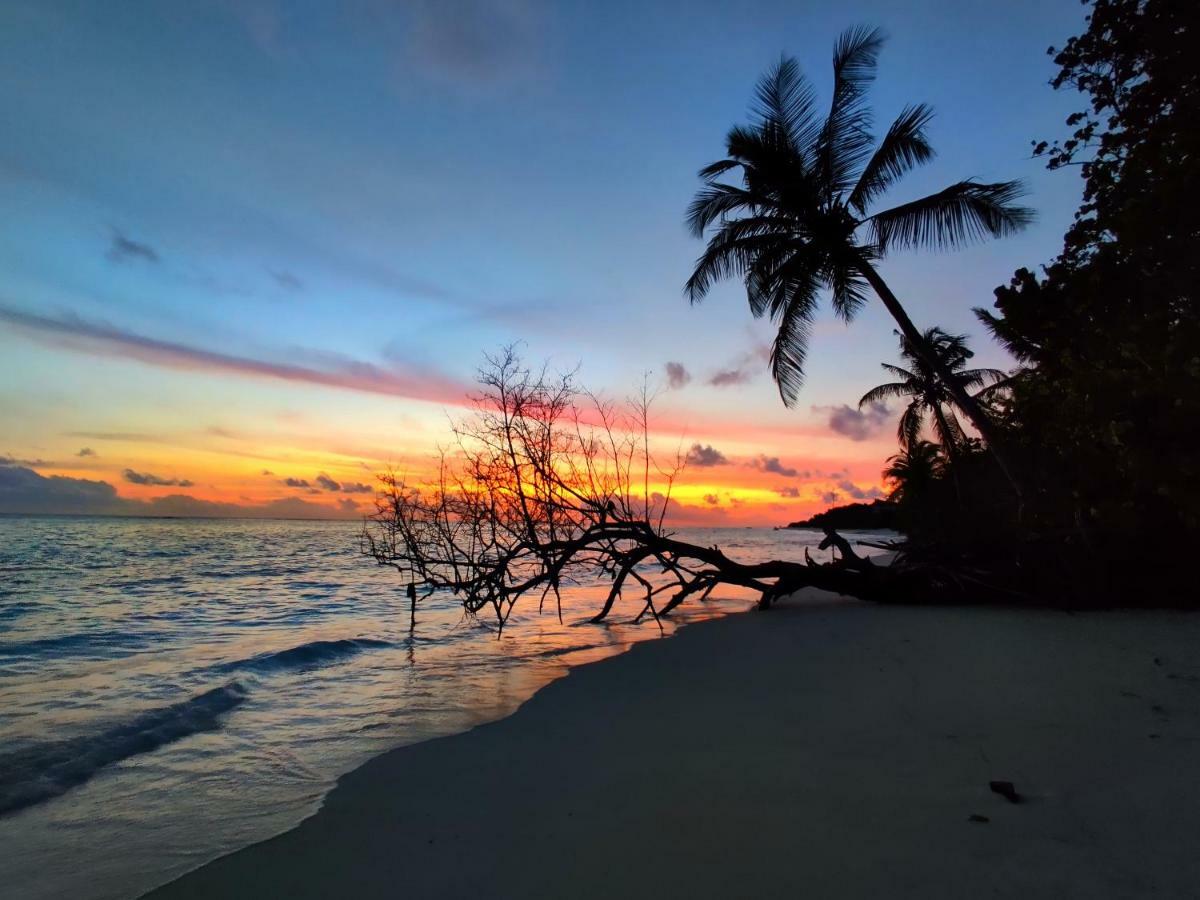 Alesara Guest House Thoddoo-Atoll Exterior foto
