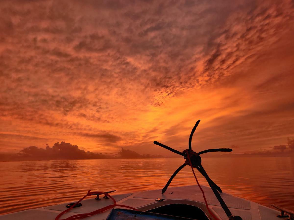 Alesara Guest House Thoddoo-Atoll Exterior foto