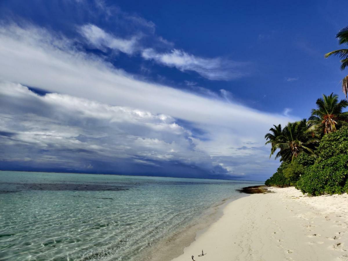 Alesara Guest House Thoddoo-Atoll Exterior foto