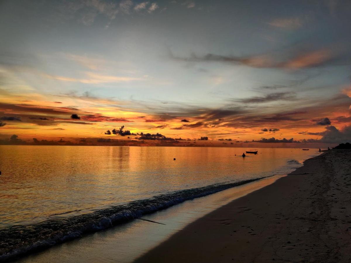 Alesara Guest House Thoddoo-Atoll Exterior foto