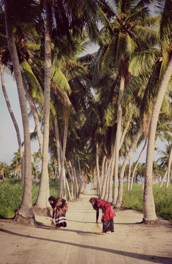 Alesara Guest House Thoddoo-Atoll Exterior foto