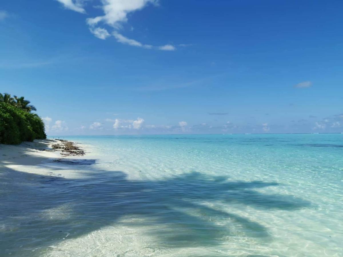 Alesara Guest House Thoddoo-Atoll Exterior foto